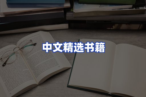 中文精选书籍