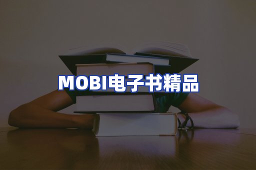 外文电子书产品